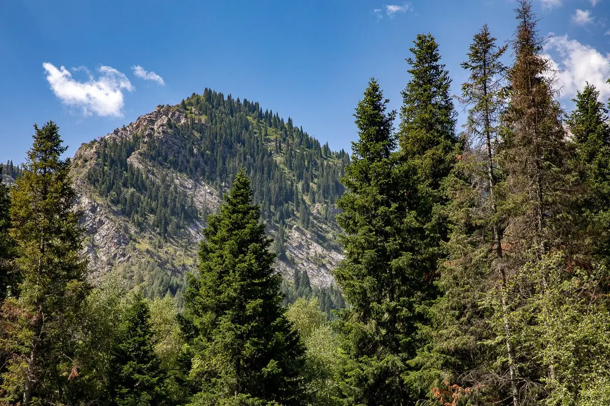 Chychkan Gorge, Jalal-Abad Region, Kyrgyzstan