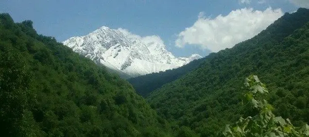 Kara-Alma Forest, Jalal-Abad Region, Kyrgyzstan