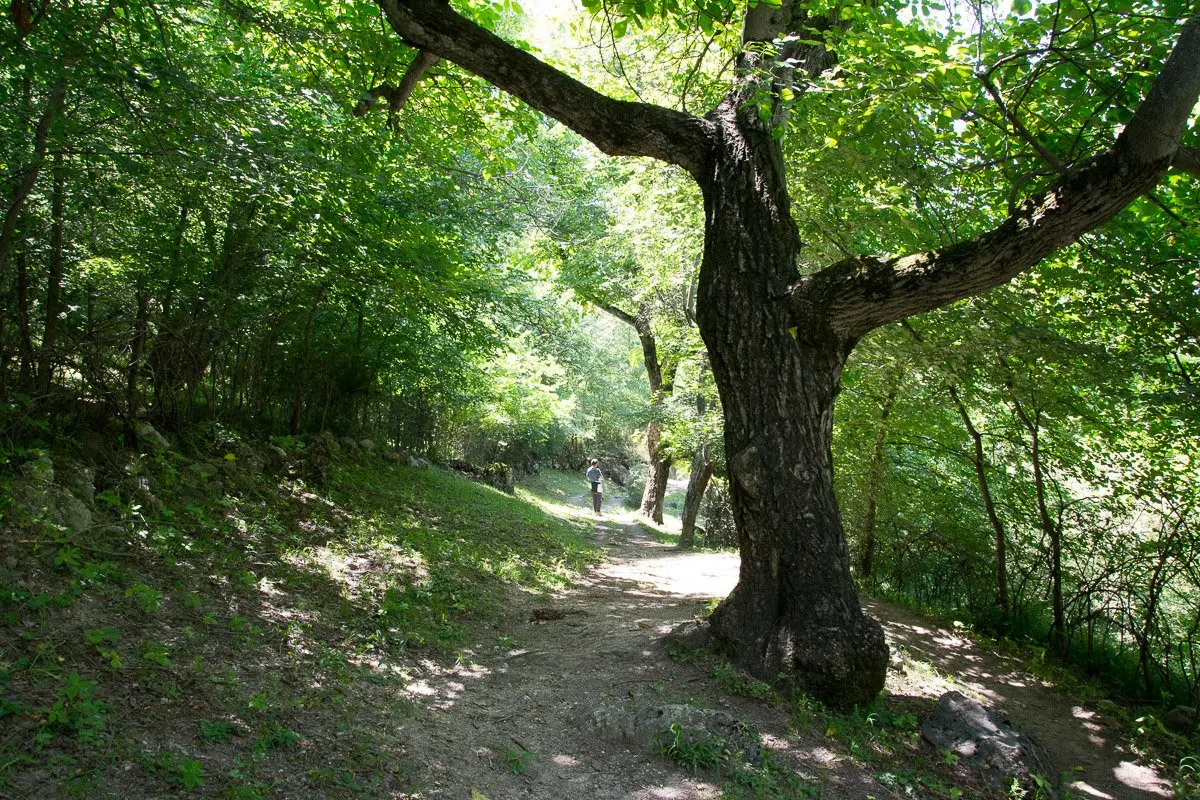 Arslanbob Trekking Walnut Forest Waterfall, Jalal-Abad Region