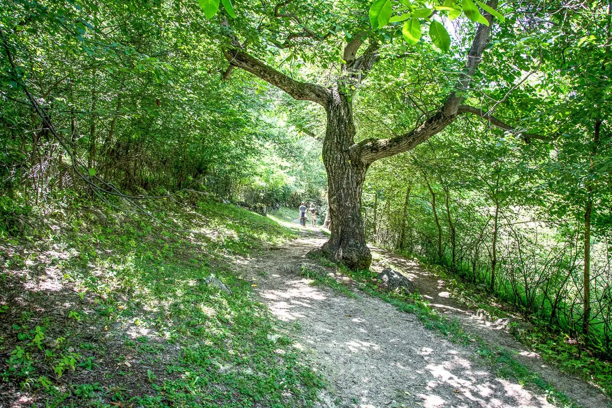Arslanbob Day Trip, Walnut Forest - Jalal-Abad Region, Kyrgyzstan