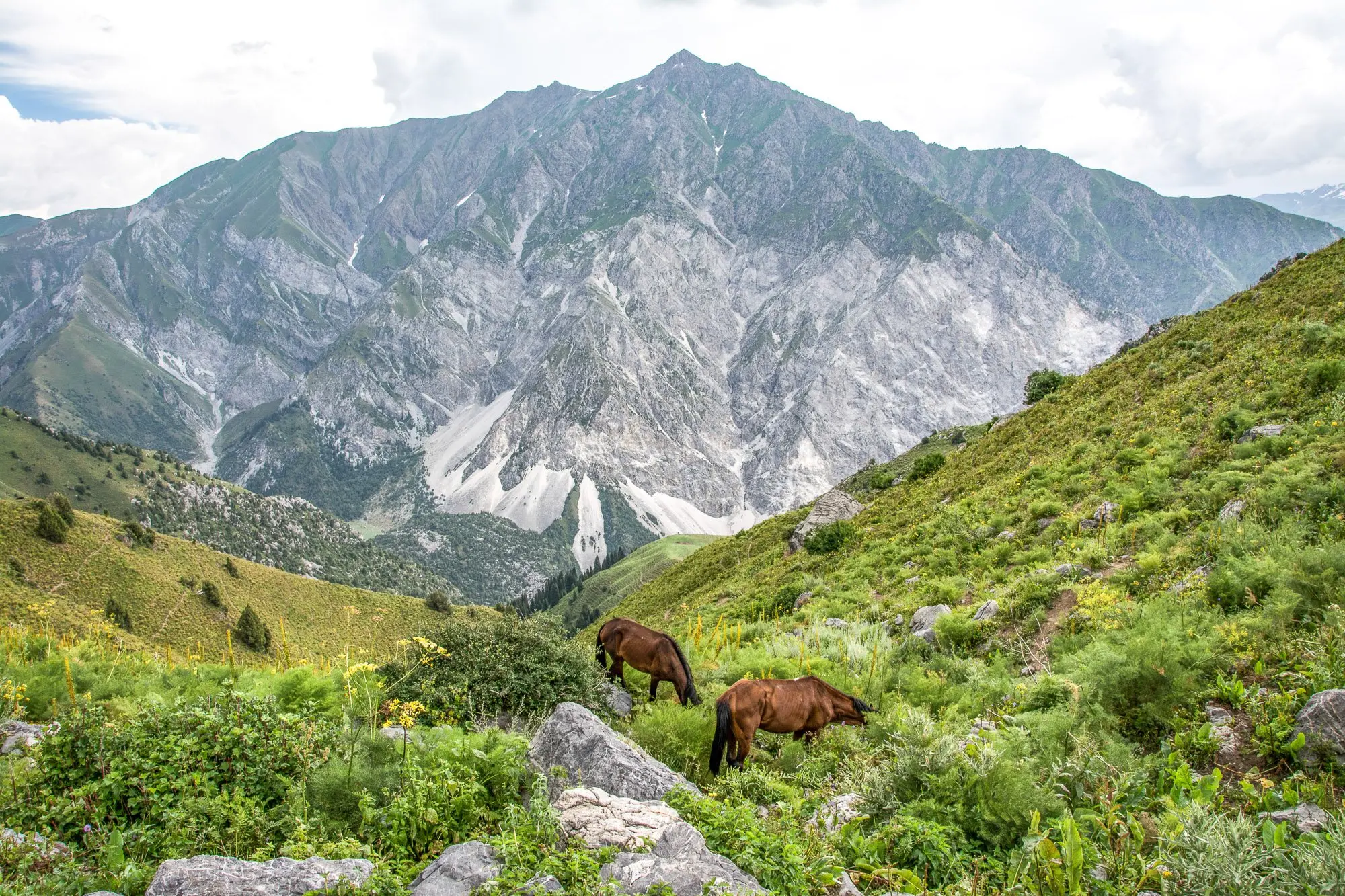 Exploring Sary-Chelek on Horseback Tour, Kotormo Pass - Jalal-Abad Region, Kyrgyzstan
