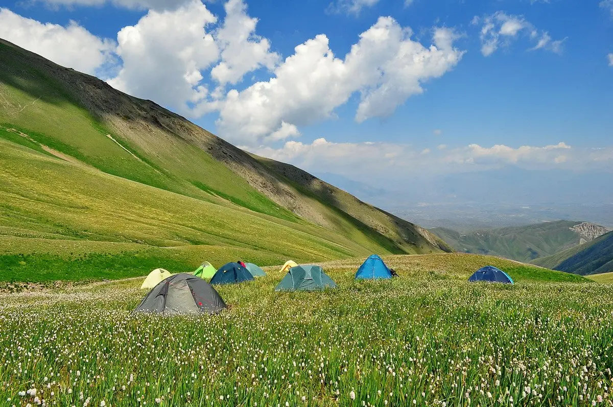 Saimaluu-Tash Petroglyphs Heritage Tour (2 days), Jalal-Abad Region, Kyrgyzstan