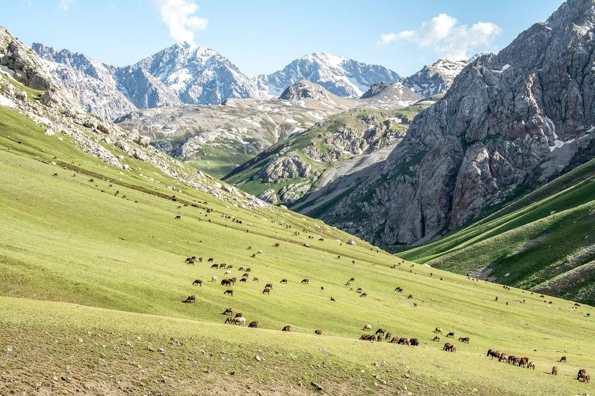 Ultimate Arslanbob Trekking Adventure, High Pastures Babash Ata Mountains - Jalal-Abad Region, Kyrgyzstan