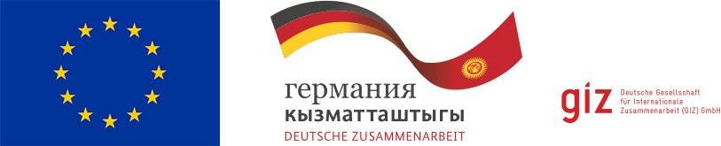 GIZ EU Logo